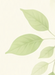 Kerala Leaf
